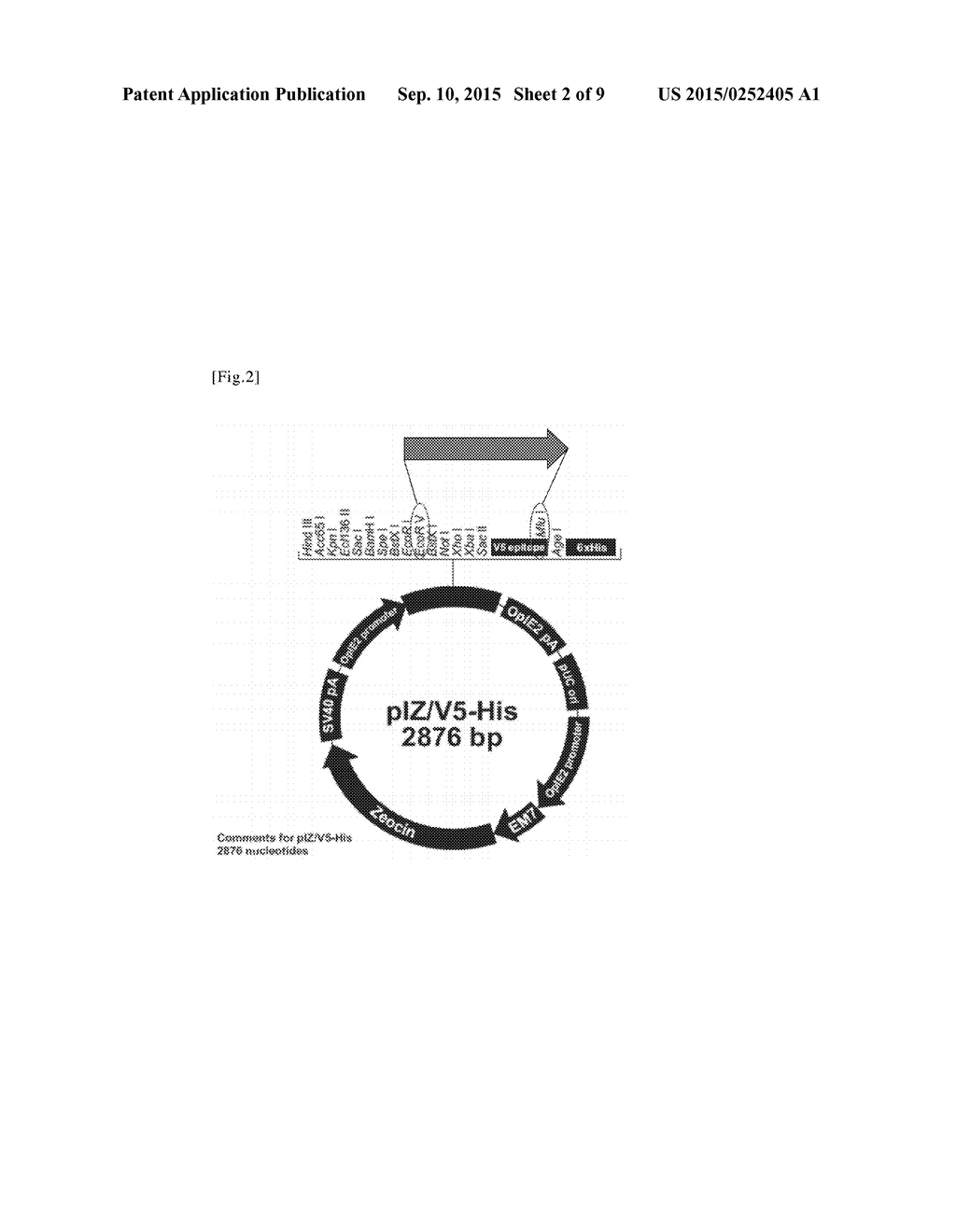 METHOD FOR MEASURING ENDOTOXIN - diagram, schematic, and image 03