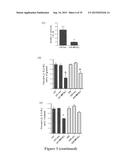 METHODS AND COMPOSITIONS FOR THE DIAGNOSIS, PROGNOSIS AND TREATMENT OF     CANCER diagram and image