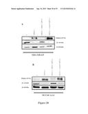 METHODS AND COMPOSITIONS FOR THE DIAGNOSIS, PROGNOSIS AND TREATMENT OF     CANCER diagram and image