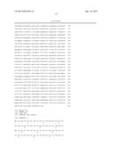 METHODS AND COMPOSITIONS FOR THE DIAGNOSIS, PROGNOSIS AND TREATMENT OF     CANCER diagram and image