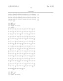 METHODS AND COMPOSITIONS FOR THE DIAGNOSIS, PROGNOSIS AND TREATMENT OF     CANCER diagram and image