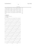 METHODS AND COMPOSITIONS FOR THE DIAGNOSIS, PROGNOSIS AND TREATMENT OF     CANCER diagram and image