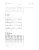 METHODS AND COMPOSITIONS FOR THE DIAGNOSIS, PROGNOSIS AND TREATMENT OF     CANCER diagram and image