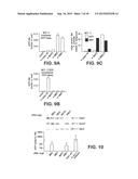 AGENTS FOR REVERSING EPIGENETIC SILENCING OF GENES diagram and image