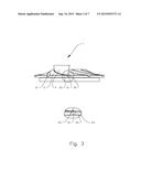 RUNNER DEVICE FOR A HYDRAULIC FLUID FLOW MACHINE diagram and image