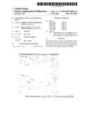 WEAR-PROTECTION LAYER FOR PISTON RINGS diagram and image