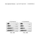 METHODS AND DEVICES FOR INTEGRATING ANALYTE EXTRACTION, CONCENTRATION AND     DETECTION diagram and image