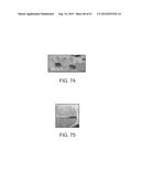 METHODS AND DEVICES FOR INTEGRATING ANALYTE EXTRACTION, CONCENTRATION AND     DETECTION diagram and image