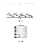 METHODS AND DEVICES FOR INTEGRATING ANALYTE EXTRACTION, CONCENTRATION AND     DETECTION diagram and image