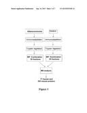 METHOD OF CANCER DIAGNOSIS, PROGRESSION AND RESPONSE TO THERAPY USING A     PRIMARY XENOGRAFT MOUSE MODEL FOR CANCER SERUM BIOMARKER DISCOVERY diagram and image