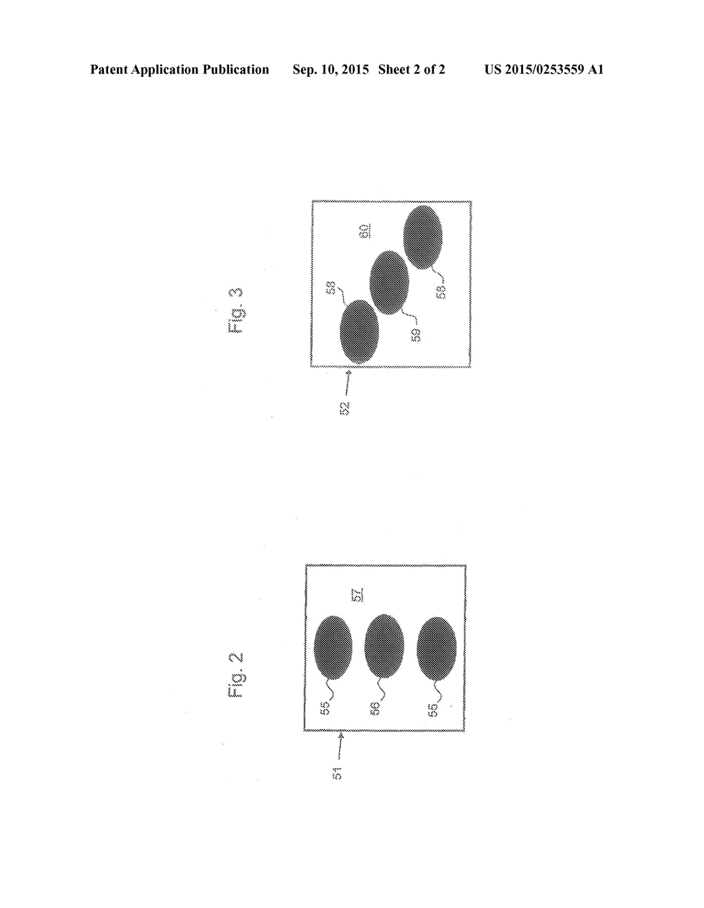 OPTICAL ARRANGEMENT AND LIGHT MICROSCOPE - diagram, schematic, and image 03