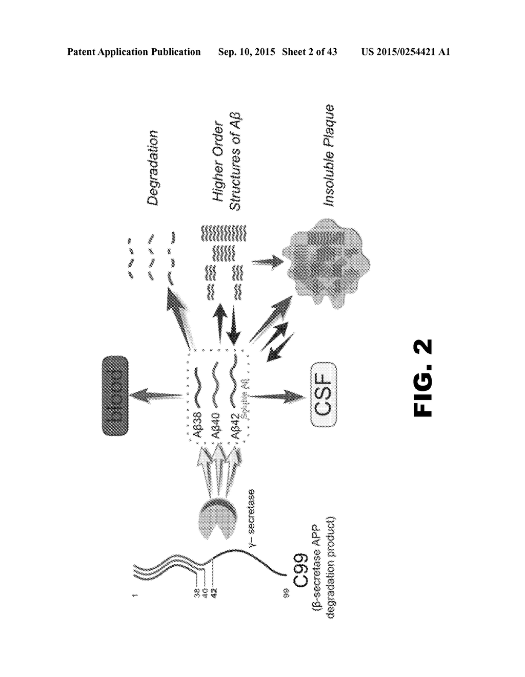 METHODS OF DIAGNOSING AMYLOID PATHOLOGIES USING ANALYSIS OF AMYLOID-BETA     ENRICHMENT KINETICS - diagram, schematic, and image 03