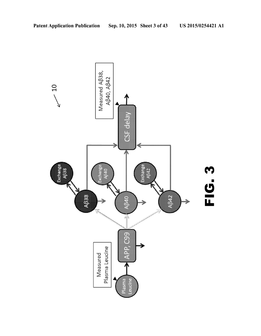 METHODS OF DIAGNOSING AMYLOID PATHOLOGIES USING ANALYSIS OF AMYLOID-BETA     ENRICHMENT KINETICS - diagram, schematic, and image 04