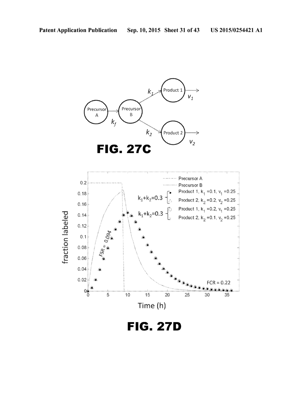 METHODS OF DIAGNOSING AMYLOID PATHOLOGIES USING ANALYSIS OF AMYLOID-BETA     ENRICHMENT KINETICS - diagram, schematic, and image 32