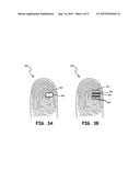 UTILIZATION OF BIOMETRIC DATA diagram and image