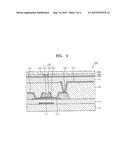 THIN FILM TRANSISTOR, THIN FILM TRANSISTOR SUBSTRATE, DISPLAY APPARATUS     AND METHOD OF MANUFACTURING THIN FILM TRANSISTOR diagram and image