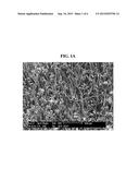 CARBON FELT IMPREGNATED WITH INORGANIC PARTICLES AND METHOD FOR PRODUCING     THE SAME diagram and image