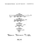 Initial Access Channel for Scalable Wireless Mobile Communication Networks diagram and image