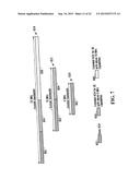 Initial Access Channel for Scalable Wireless Mobile Communication Networks diagram and image