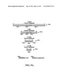 Initial Access Channel for Scalable Wireless Mobile Communication Networks diagram and image