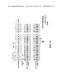 Initial Access Channel for Scalable Wireless Mobile Communication Networks diagram and image