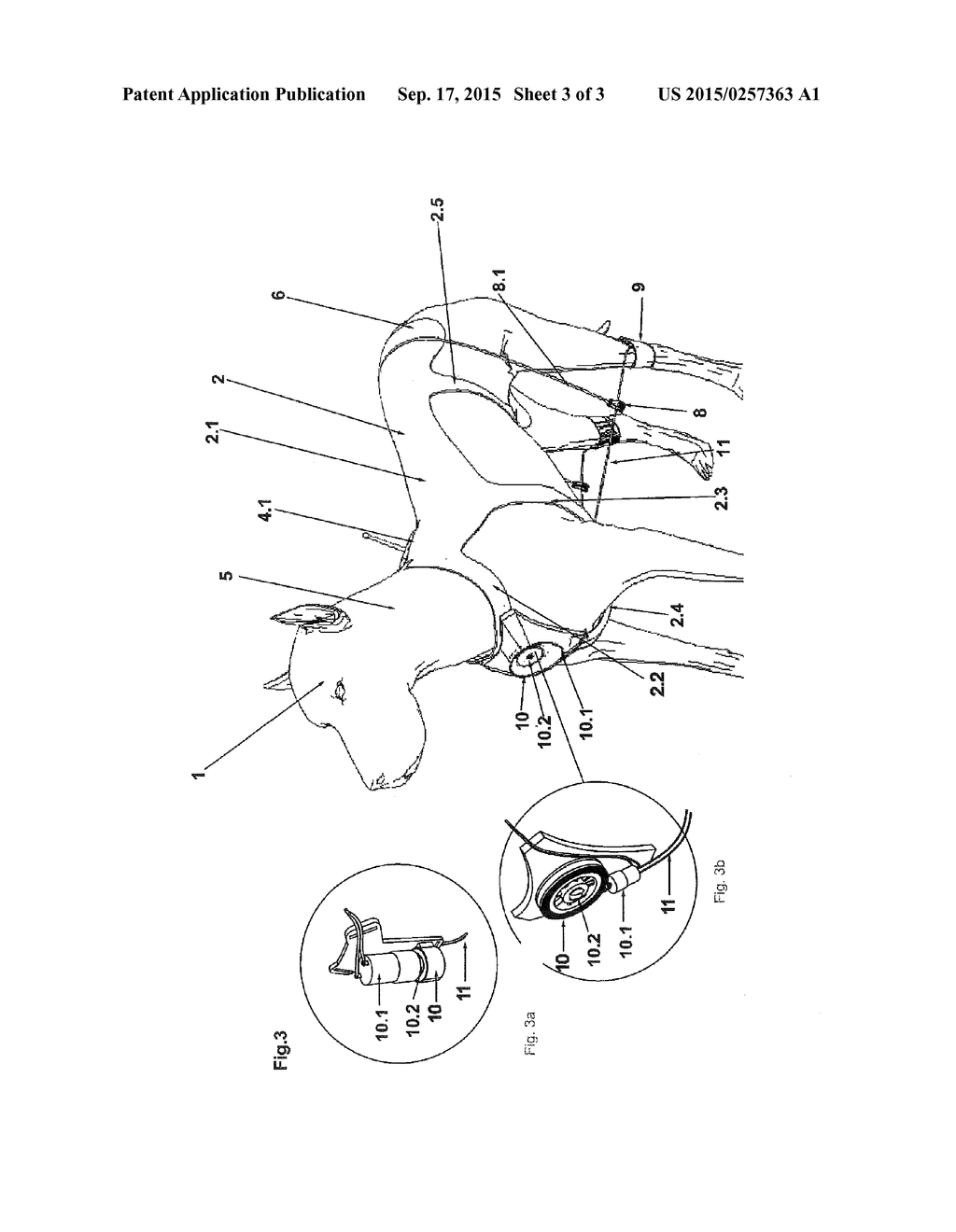 DEVICE FOR LIMITING THE MOVEMENT OF A FOUR-LEGGED ANIMAL - diagram, schematic, and image 04