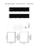 REALTIME IMAGING AND RADIOTHERAPY OF MICROSCOPIC DISEASE diagram and image