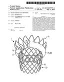 TRANSCATHETER VALVE PROSTHESIS diagram and image