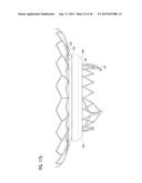 TRANSCATHETER VALVE PROSTHESIS diagram and image