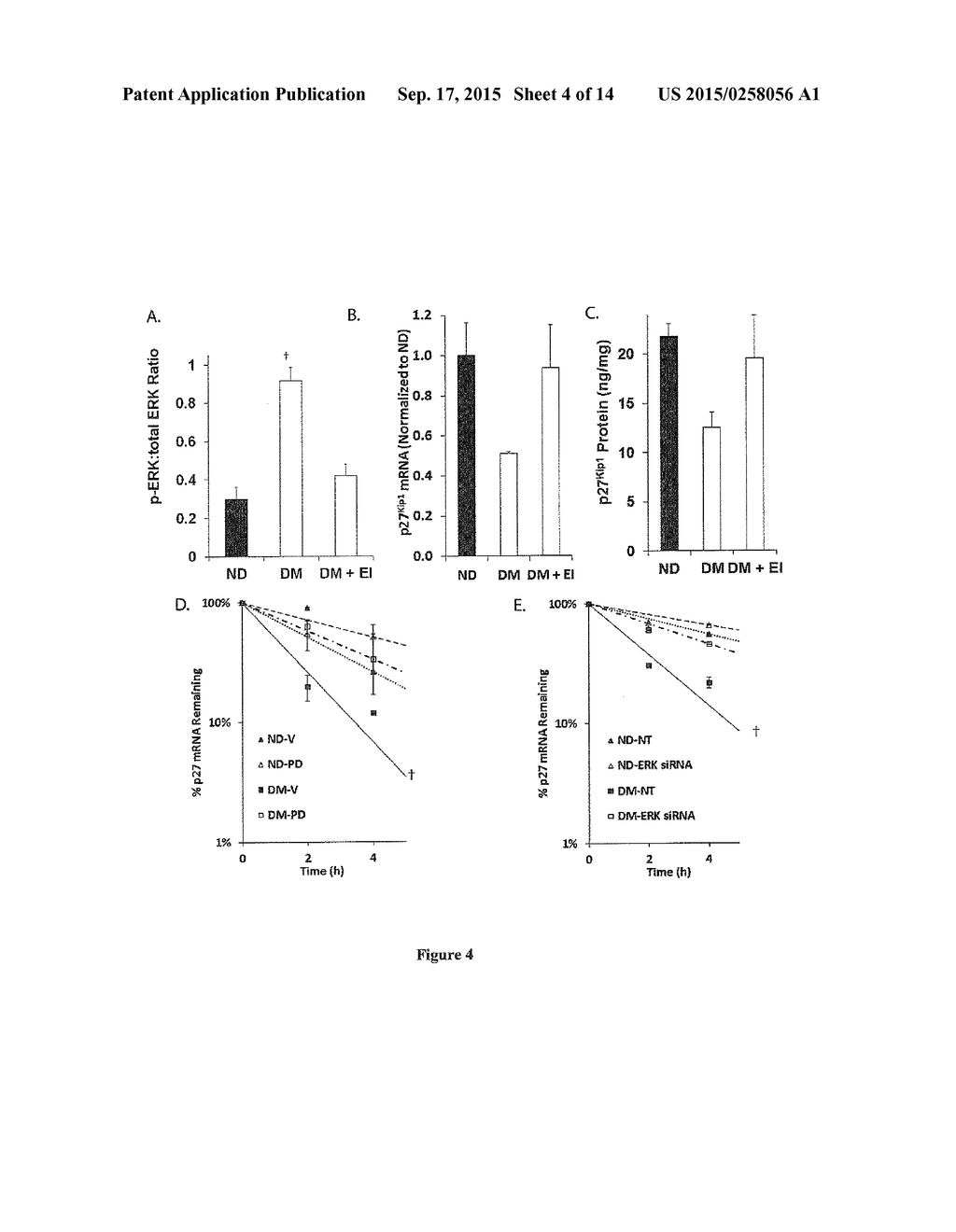 USE OF miR-221 AND 222 LOWERING AGENTS TO PREVENT CARDIOVASCULAR DISEASE     IN DIABETIC SUBJECTS - diagram, schematic, and image 05