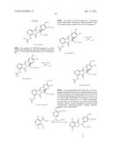 ISOTOPOLOGUES OF ISOINDOLE DERIVATIVES diagram and image