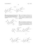 ISOTOPOLOGUES OF ISOINDOLE DERIVATIVES diagram and image
