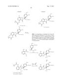 ISOTOPOLOGUES OF ISOINDOLE DERIVATIVES diagram and image