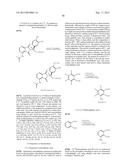 ISOTOPOLOGUES OF ISOINDOLE DERIVATIVES diagram and image