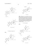 ISOTOPOLOGUES OF ISOINDOLE DERIVATIVES diagram and image