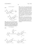 ISOTOPOLOGUES OF ISOINDOLE DERIVATIVES diagram and image