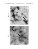 Nanocarriers And Their Processing For Diagnostics And Therapeutics diagram and image