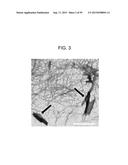 Nanocarriers And Their Processing For Diagnostics And Therapeutics diagram and image