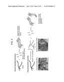 Nanocarriers And Their Processing For Diagnostics And Therapeutics diagram and image
