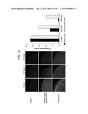 Nanocarriers And Their Processing For Diagnostics And Therapeutics diagram and image