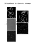 Nanocarriers And Their Processing For Diagnostics And Therapeutics diagram and image