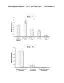 Nanocarriers And Their Processing For Diagnostics And Therapeutics diagram and image