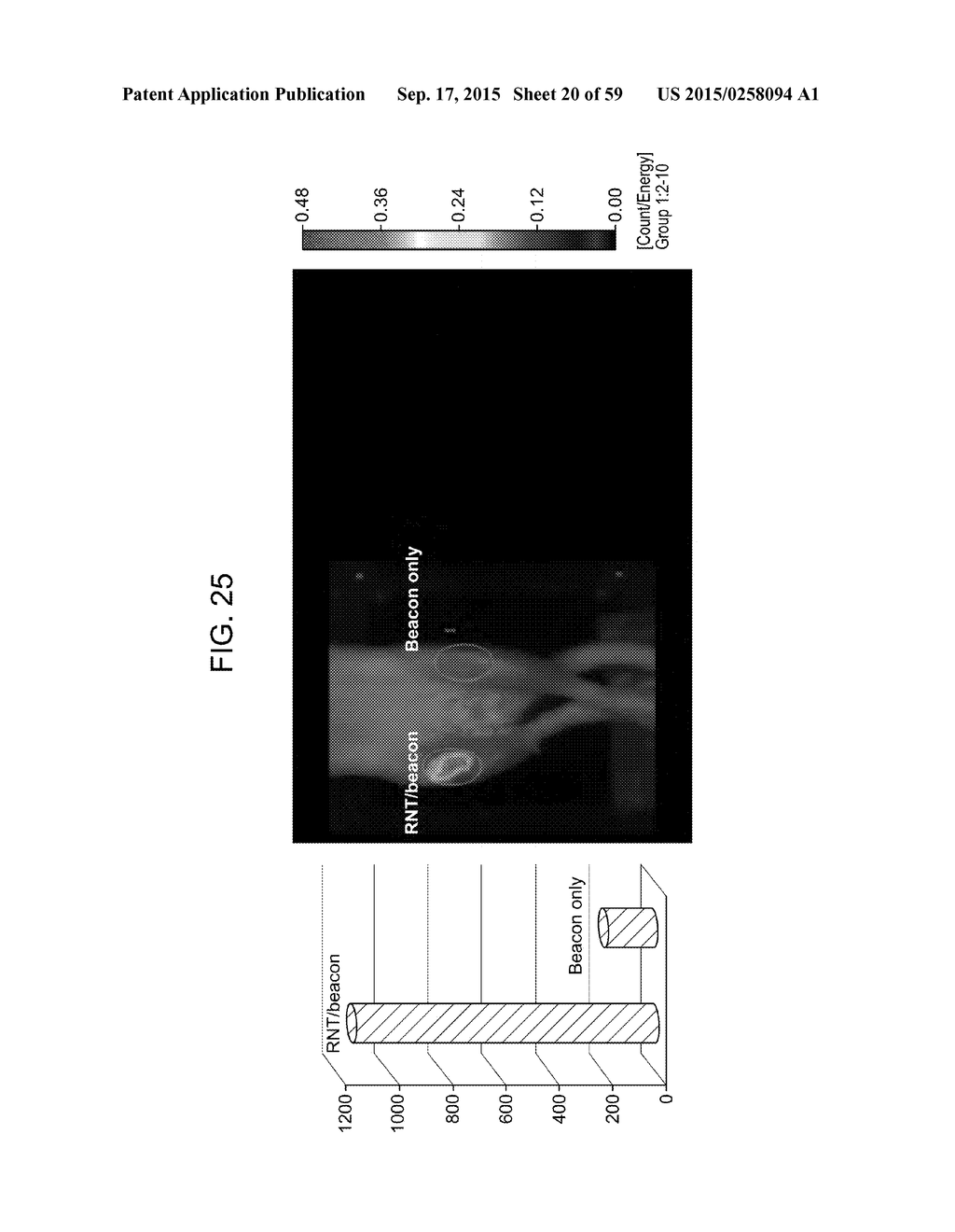 Nanocarriers And Their Processing For Diagnostics And Therapeutics - diagram, schematic, and image 21