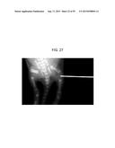 Nanocarriers And Their Processing For Diagnostics And Therapeutics diagram and image