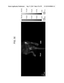 Nanocarriers And Their Processing For Diagnostics And Therapeutics diagram and image