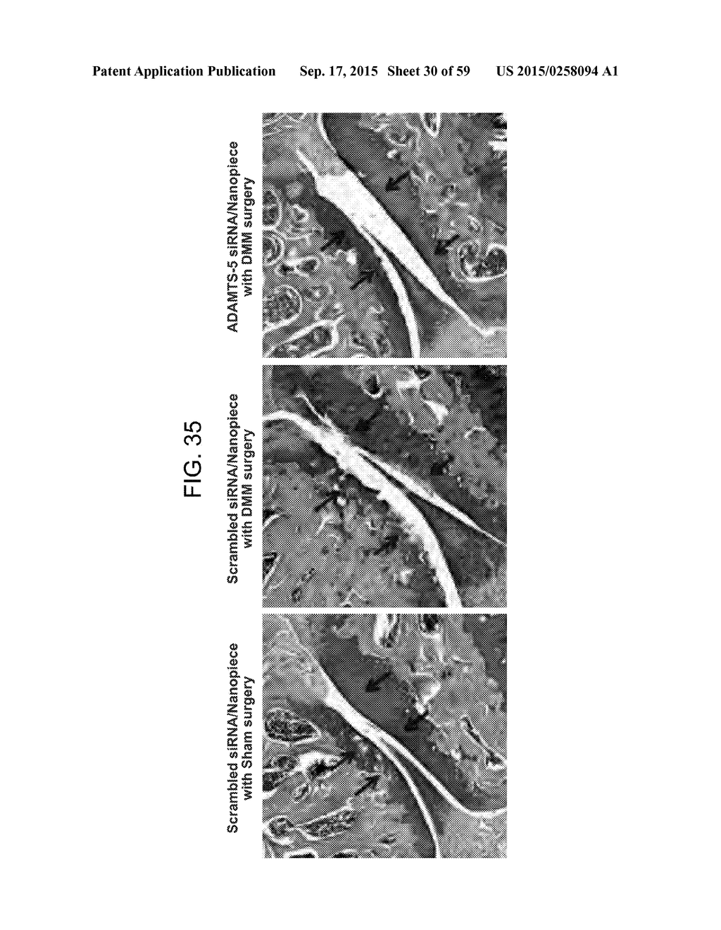 Nanocarriers And Their Processing For Diagnostics And Therapeutics - diagram, schematic, and image 31