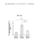 Nanocarriers And Their Processing For Diagnostics And Therapeutics diagram and image