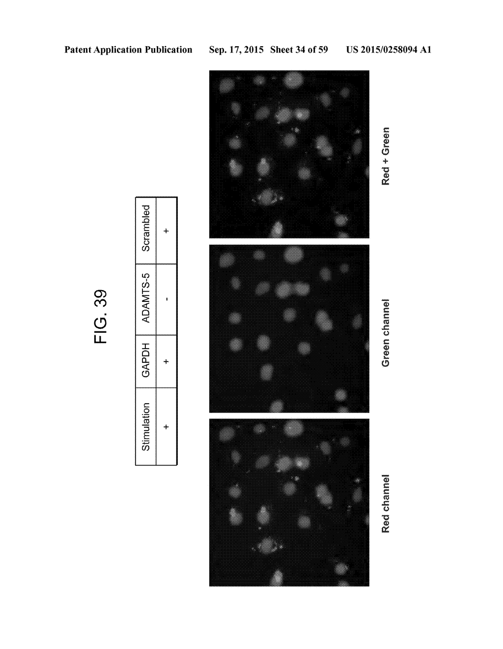 Nanocarriers And Their Processing For Diagnostics And Therapeutics - diagram, schematic, and image 35