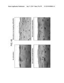 Nanocarriers And Their Processing For Diagnostics And Therapeutics diagram and image