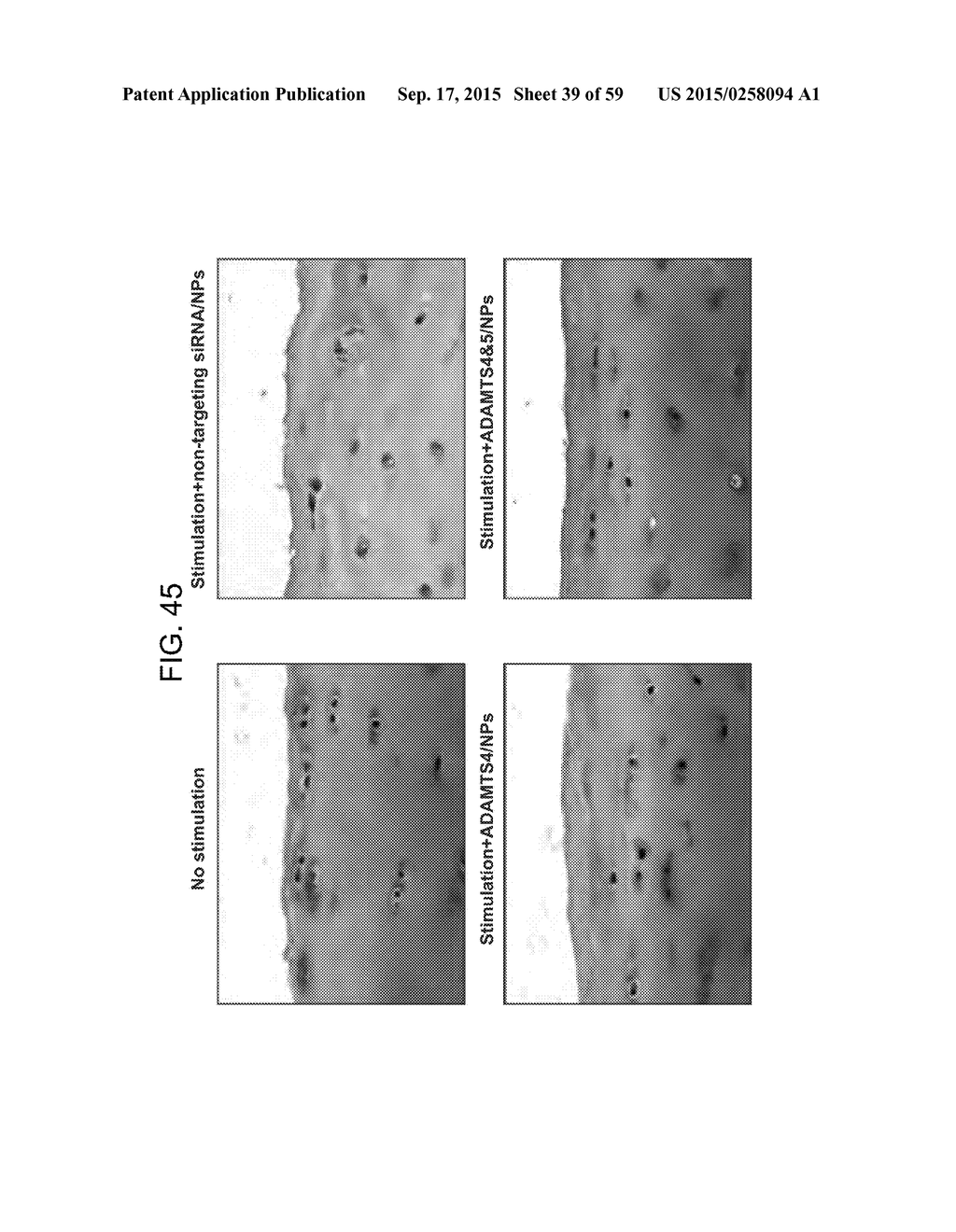 Nanocarriers And Their Processing For Diagnostics And Therapeutics - diagram, schematic, and image 40